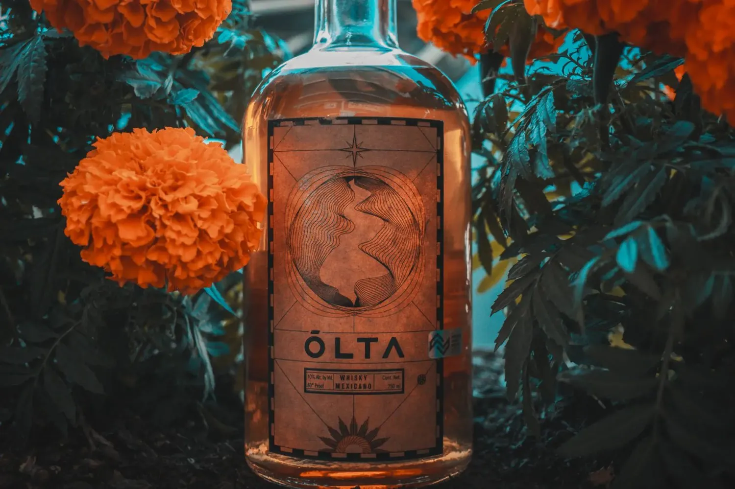 Sip the story of Mexico
